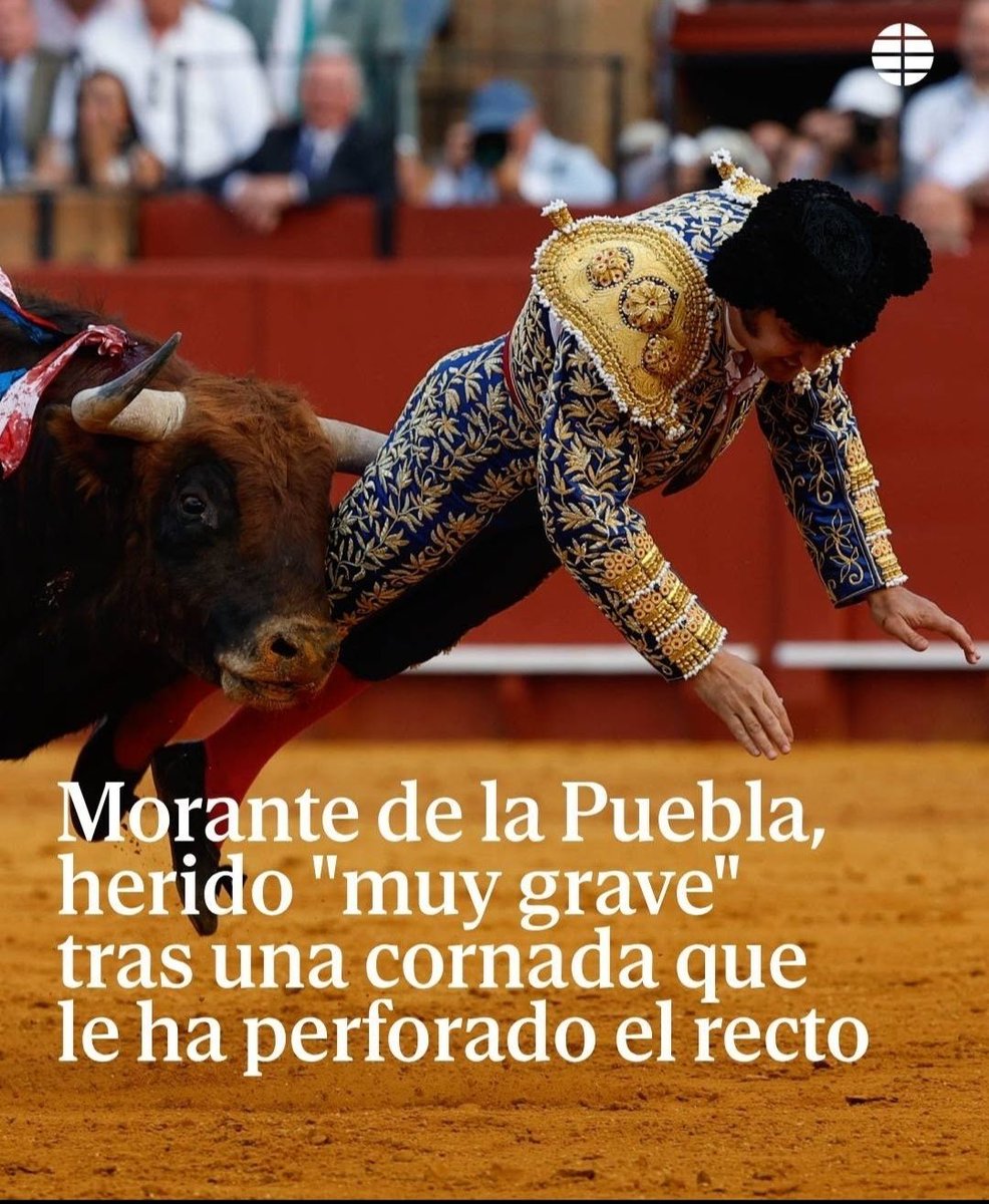 Arup😺😸😼😾 tweet media