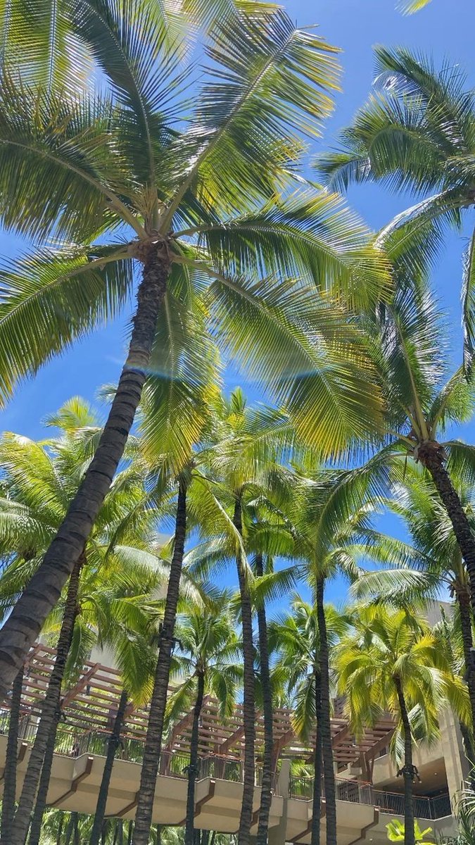 TAEYONG. tweet media