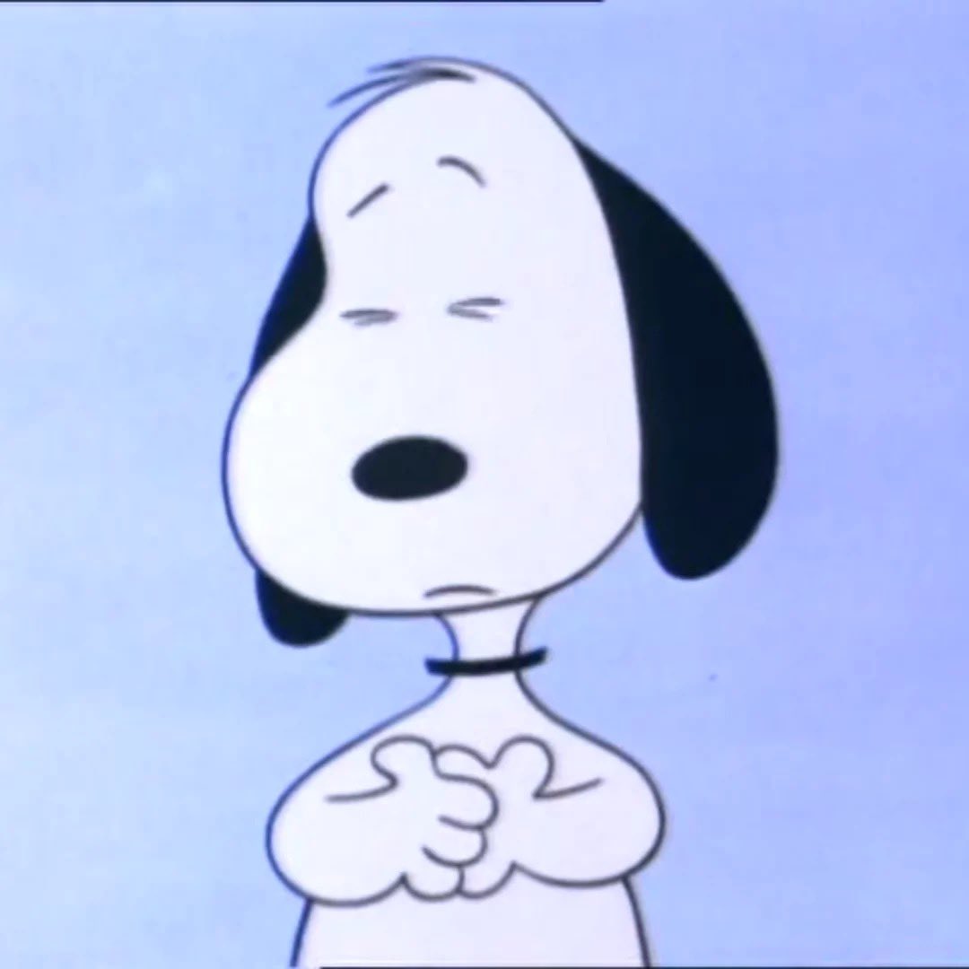 DailySnoopys's tweet photo. https://t.co/lKNhAm6XEo