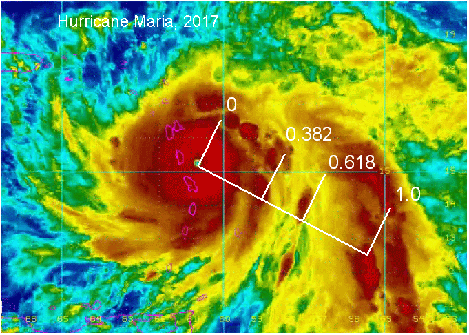 Tom McClellan tweet media