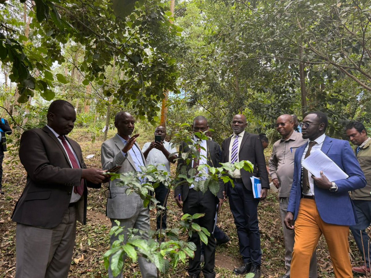 JTusiimire's tweet photo. Pharmacy students know that solutions to most of man's ailments exist under the sun, locked up in various living and non-living creations. So it was impressive to find that the School's medicinal garden is well stocked and maintained. https://t.co/F05o999Rzk