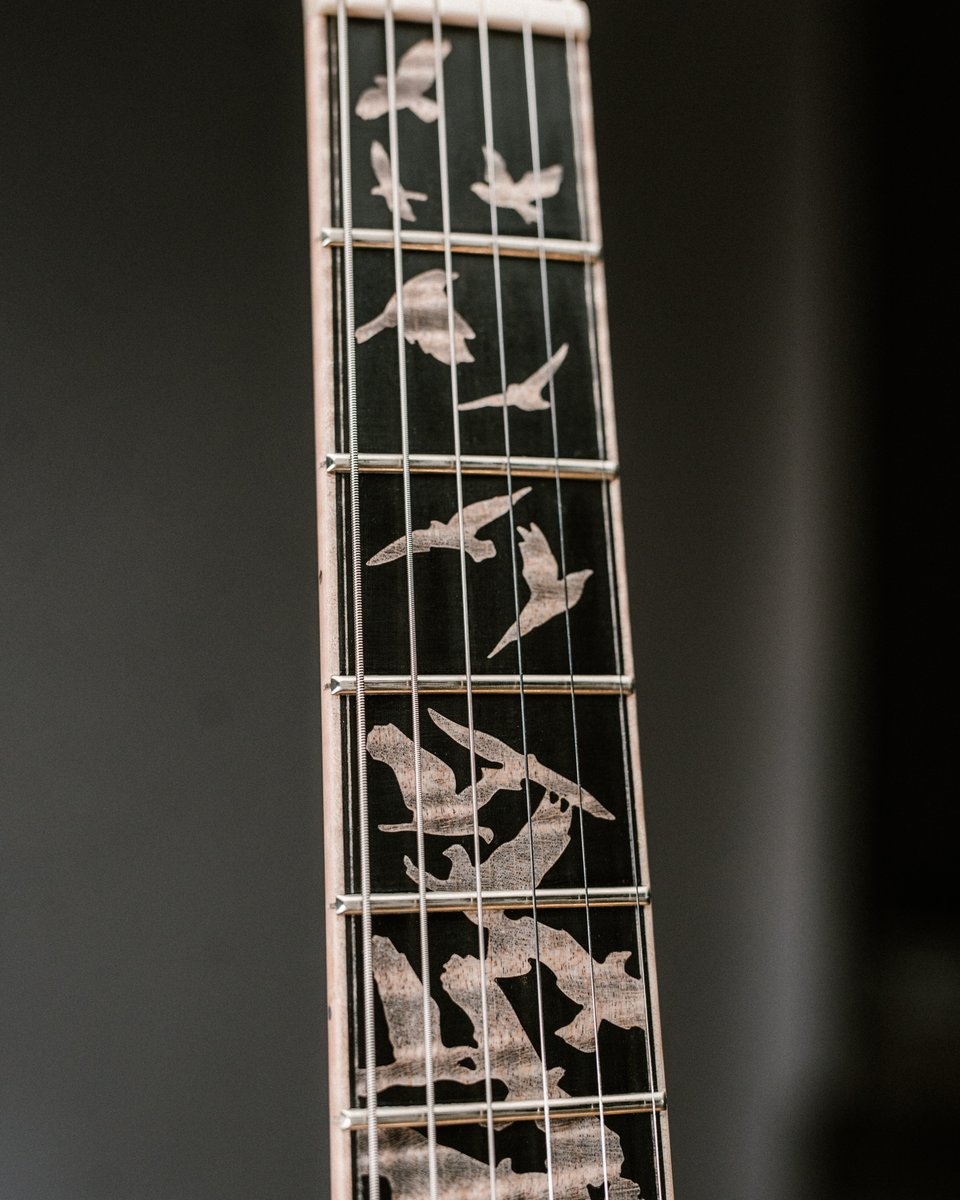 PRS Guitars tweet media
