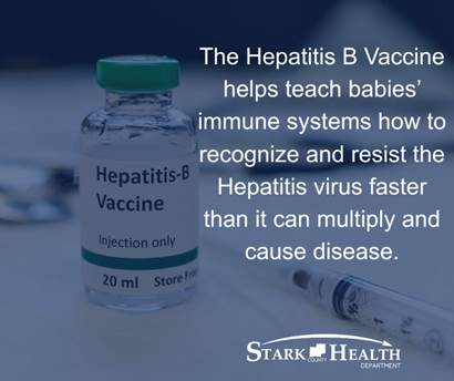 The American Academy of Pediatrics recommends the first dose of the Hepatitis B vaccine for newborns within the first 24 hours of life. Subsequent doses are recommended between 1-2 months and 6-18 months. #NIIW #HealthyBabies