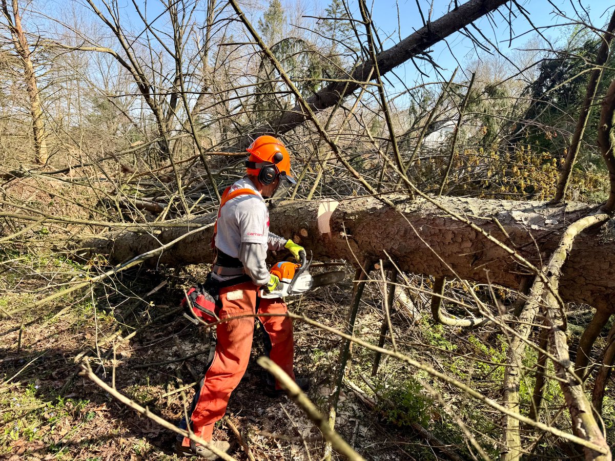MichEMHS's tweet photo. Today, crews from @TeamRubiconMW are spending the day helping tornado survivors clean up debris in Allegan and Barry counties. We are grateful for all of our Voluntary Organizations Active in Disaster (VOAD) partners, including Team Rubicon, for their continued dedication and hard work to assist with the recovery process.

@MichStatePolice | #DisasterResponse | #tornadorecovery | #communitysupport | #emergencymanagement | #michigantornadoes

📸Lt. Joshua Collins, MSP/EMHSD District Coordinator
