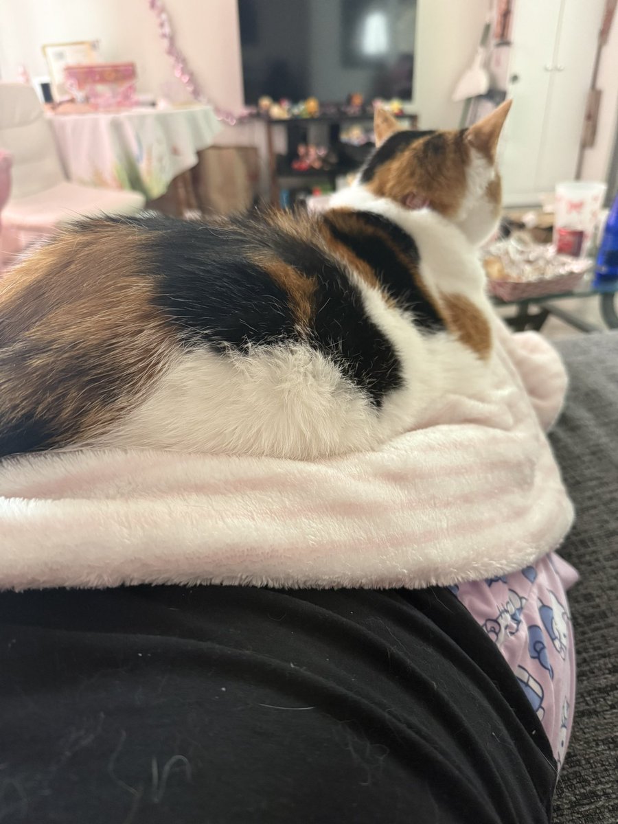 chungusqueen's tweet photo. she never does this 🥺🥺🥺 https://t.co/TCnuGuZpS8