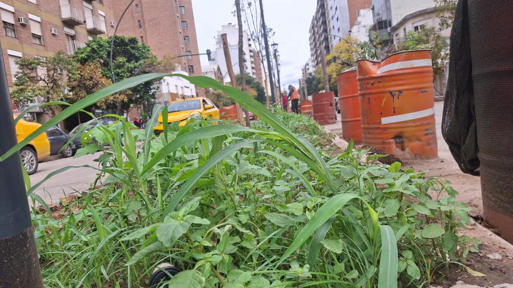 #Cordoba quejas de vecinos y comerciantes por las demoras en el final de la obra en Bv San Juan. Las malas condiciones climáticas y poca cantidad de personal trabajando retraso la inauguración "tardan demasiado para hacer un cantero" dijo una vecina. Movil <a href="/radiomitrecba/">Radio Mitre Córdoba</a>.