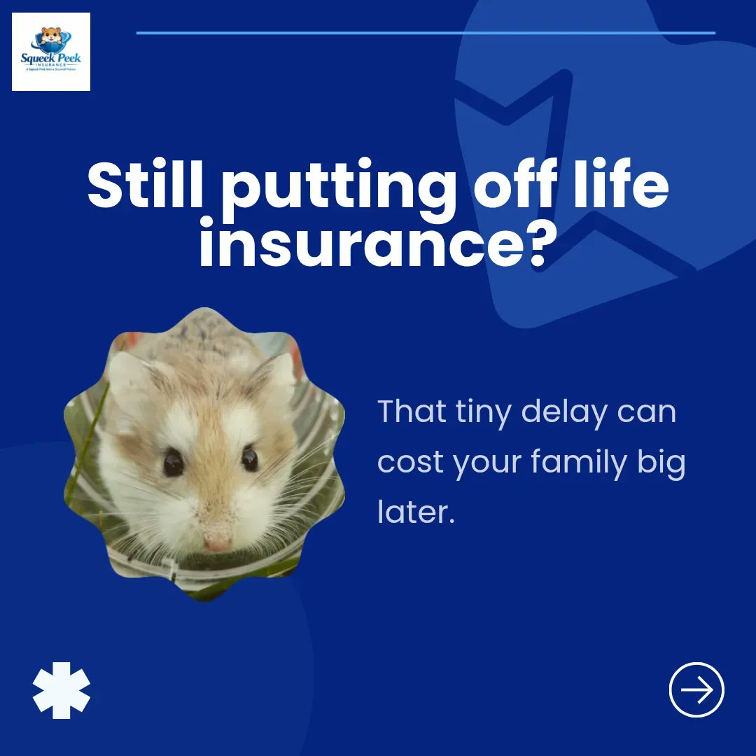 Squeek Peek Insurance tweet media