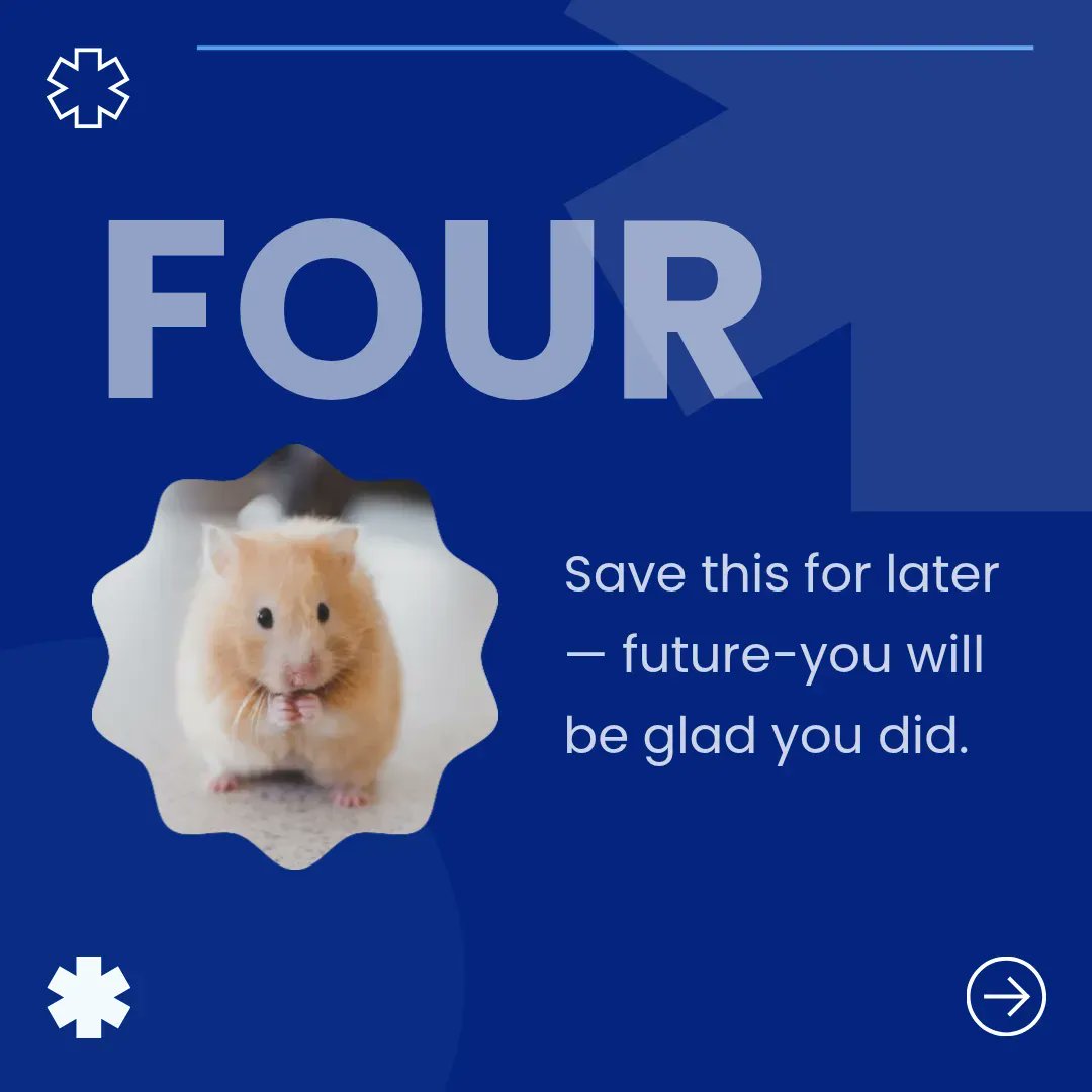 Squeek Peek Insurance tweet media