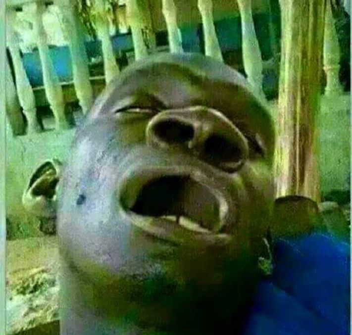 Still Victory tweet media