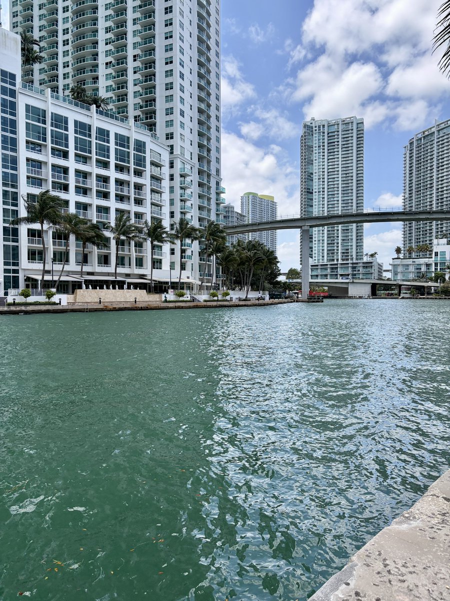 Ralph Quinteroᵍᵐ tweet media