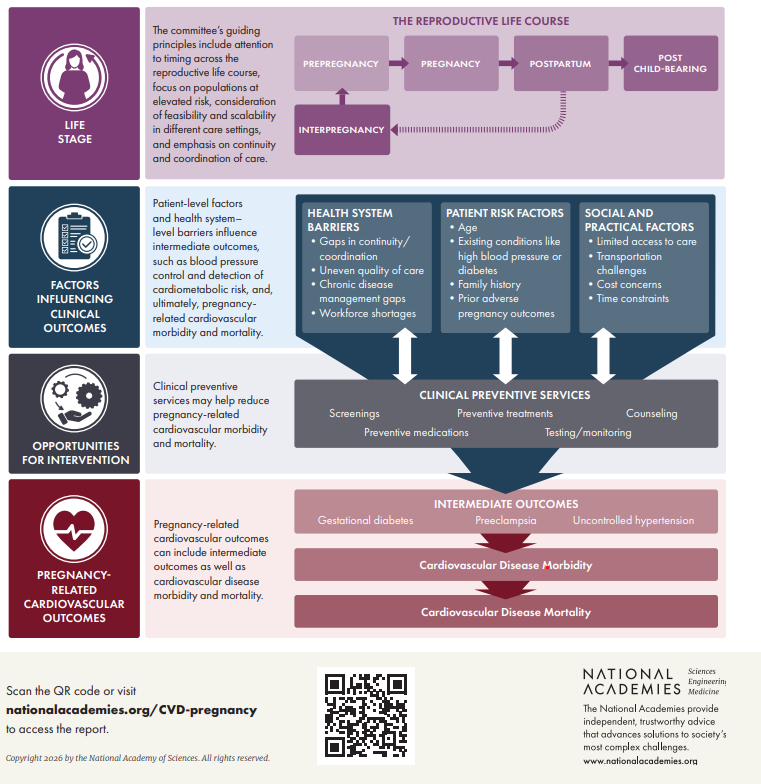 The National Academies of Sciences, Engineering and Medicine released the committee report today on Protecting Maternal Heart Health: Prevention and Care Before, During, and After Pregnancy! #cardioobstetrics