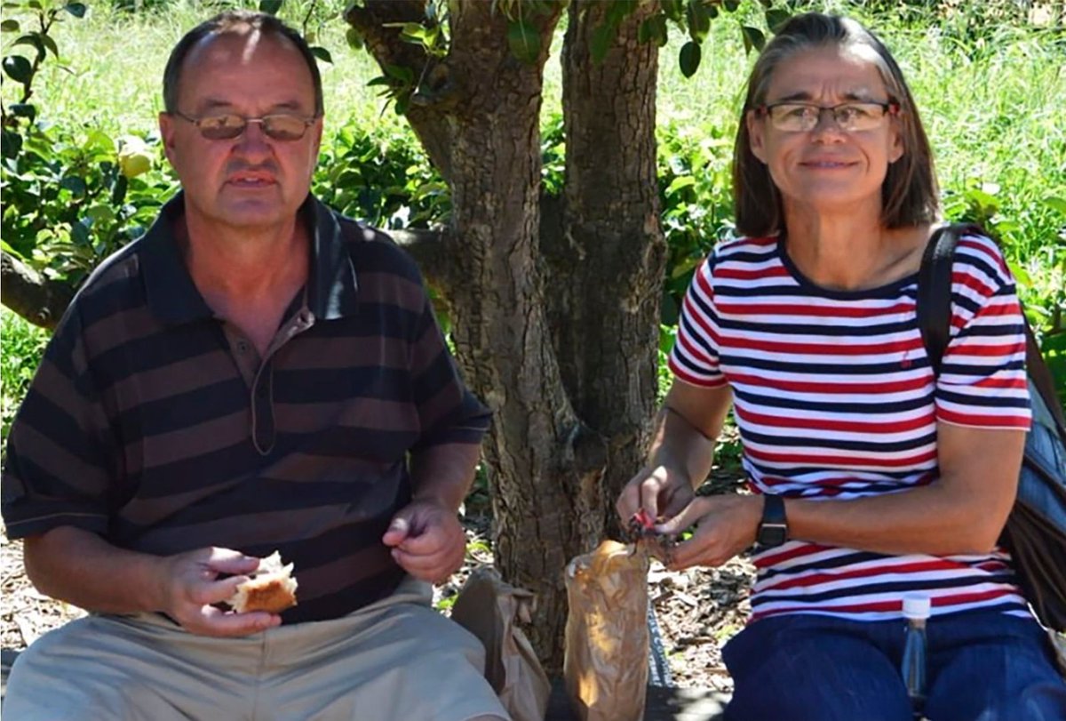 Alice VL tweet media