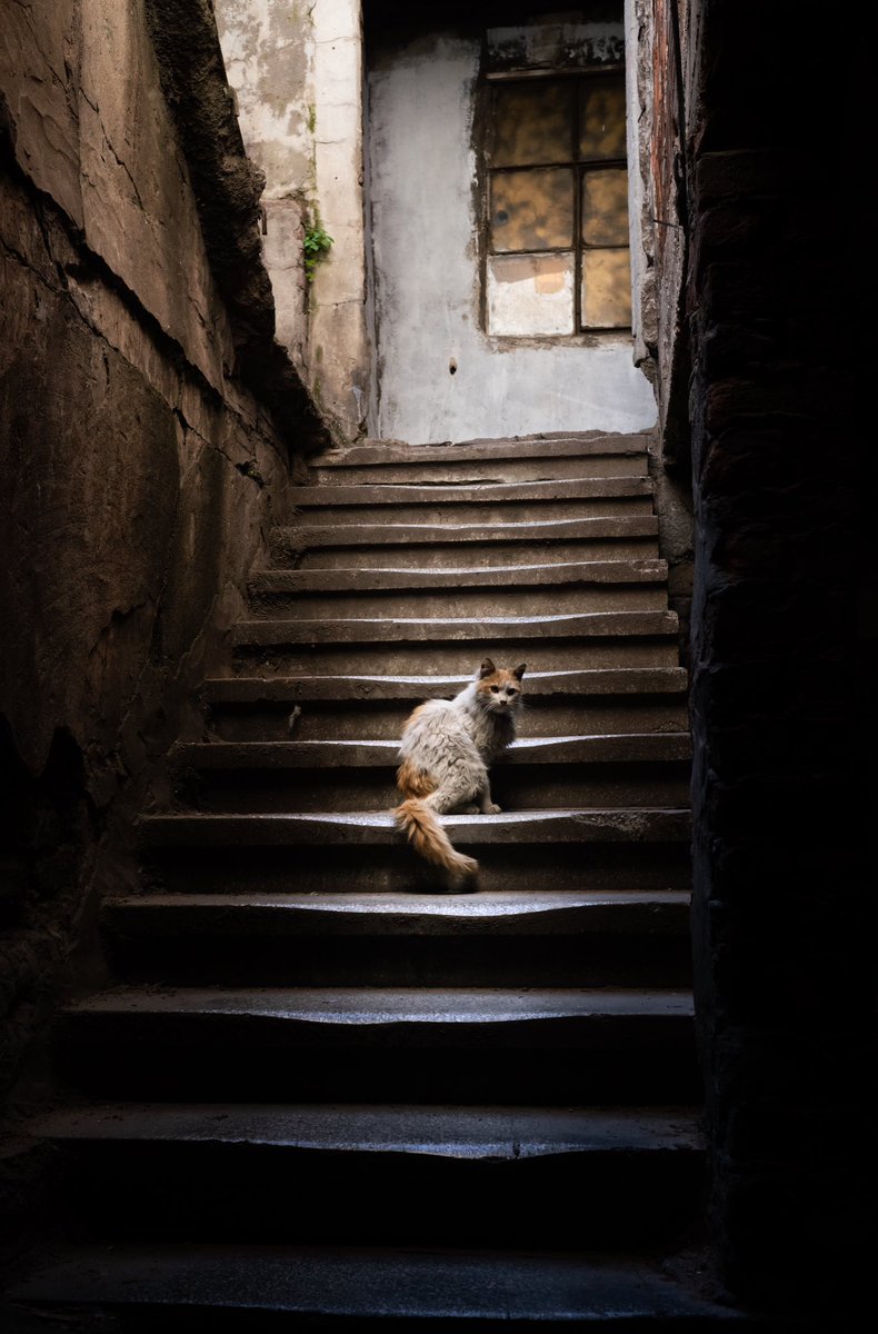 MajaSenda's tweet photo. © Ovidiu Selaru https://t.co/p8L3XHH04X