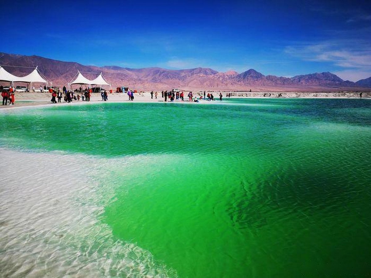 Periquillolospalotes tweet media