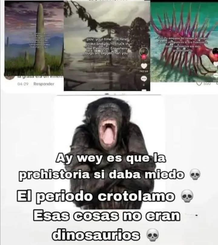 🇻🇪Pingu🇻🇪(COMMISSIONS OPENS) tweet media