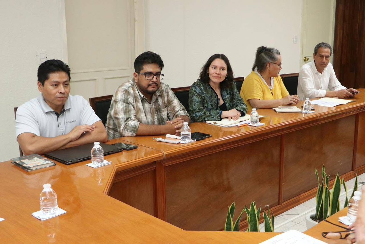 FAO México tweet media
