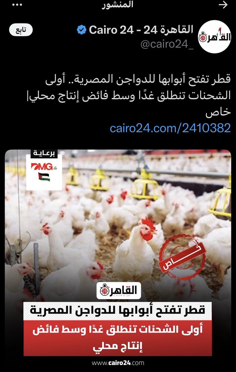 Marwa Abd El Megiud tweet media