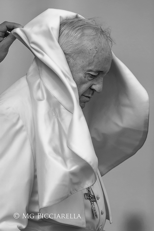 mgpicciarella's tweet image. © Maria Grazia Picciarella  

Pope Francis  

#PopeFrancis  #Pope #PapaFrancesco #PapaFrancisco #PapeFrancois #PapstFranziskus #ПапаРимскийФранциск