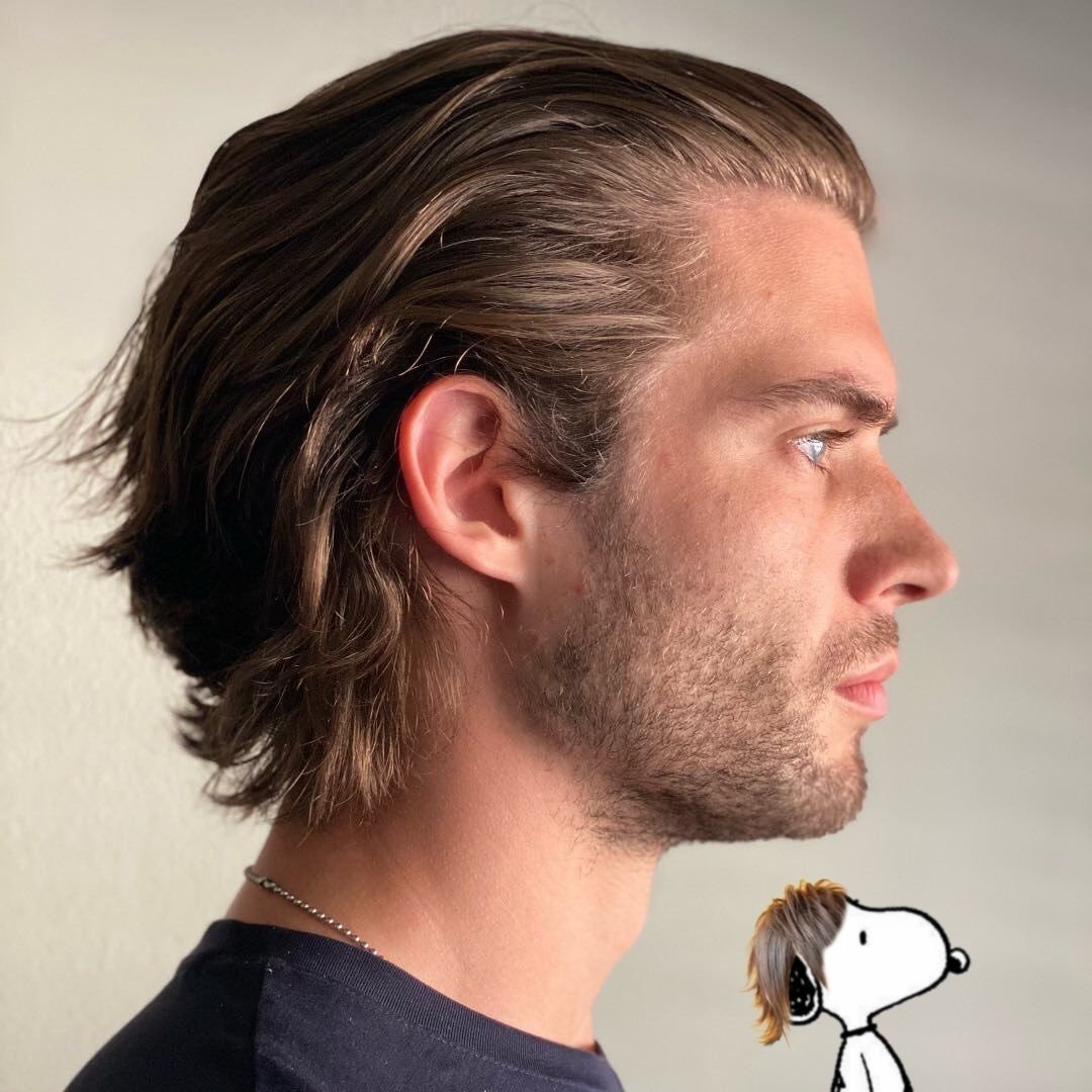 david & snoopy tweet media