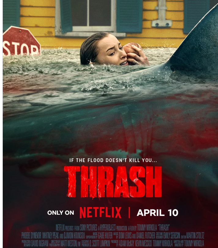 Marcelo Miranda tweet media