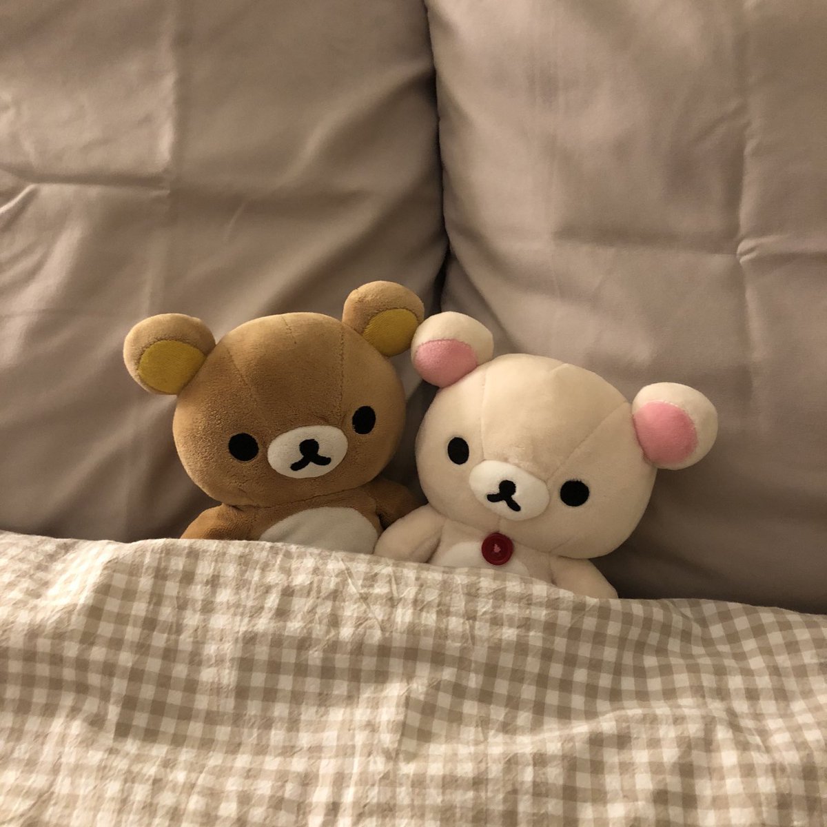 Antolnette the Magnificent tweet media