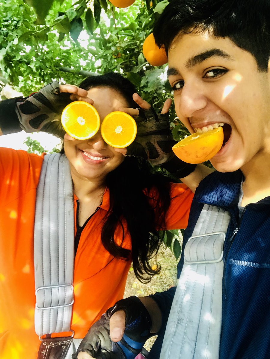 Mihir Anand tweet media