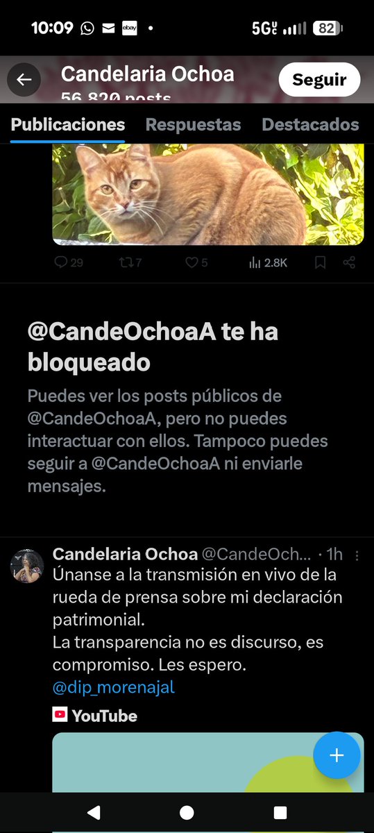 Gabriel 🔴⚪ tweet media