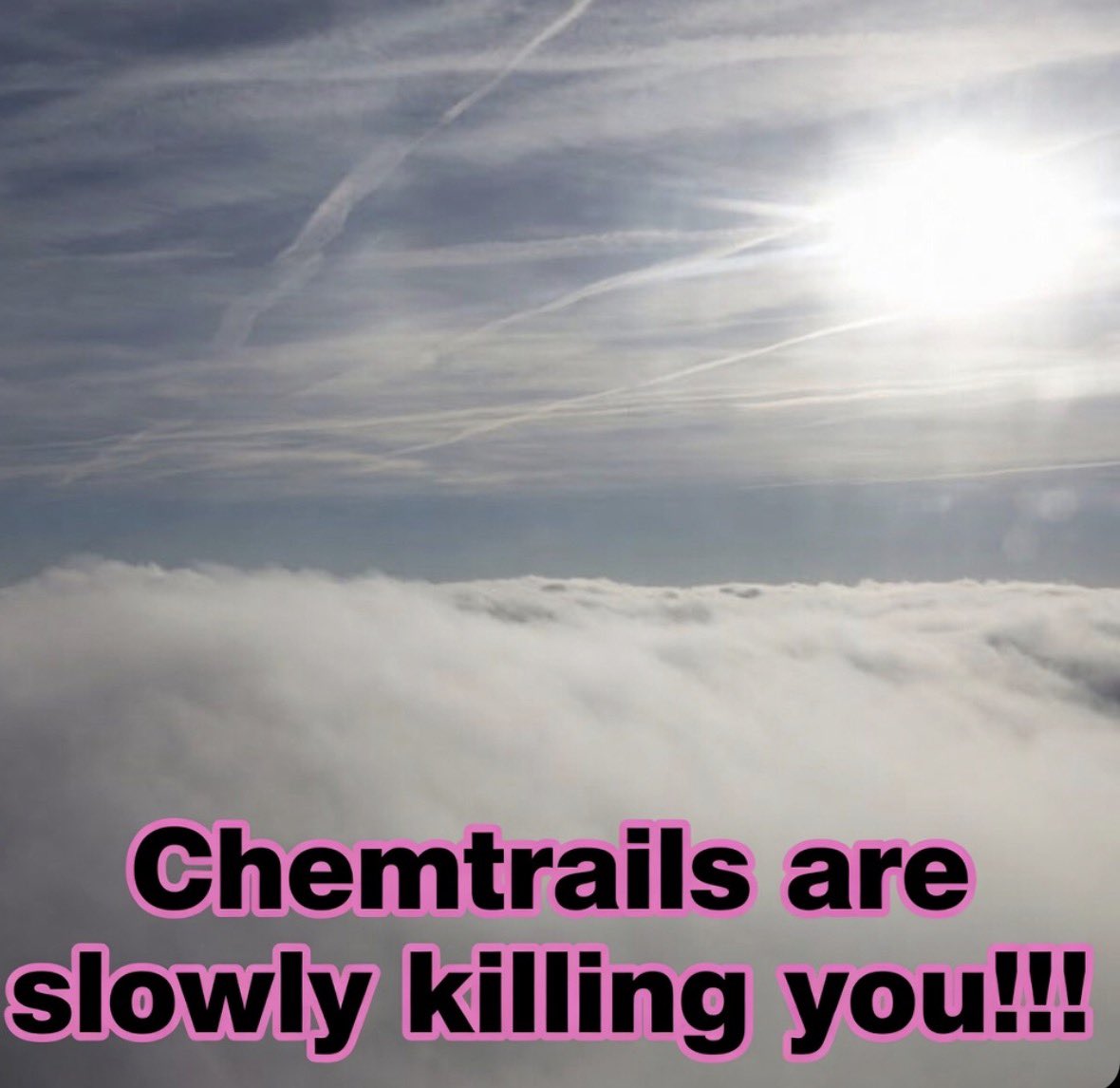 Paul Harding 🏴󠁧󠁢󠁥󠁮󠁧󠁿 Enough Is Enough tweet media