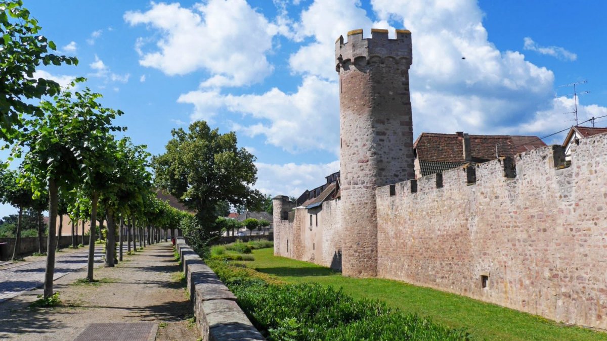 West Algeria Zenata ☾ tweet media