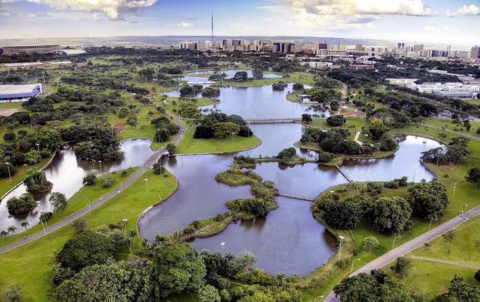 Renato Souza tweet media