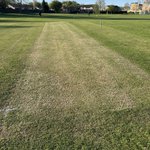 Photo by Bar Hill CC (@BarHillCC)