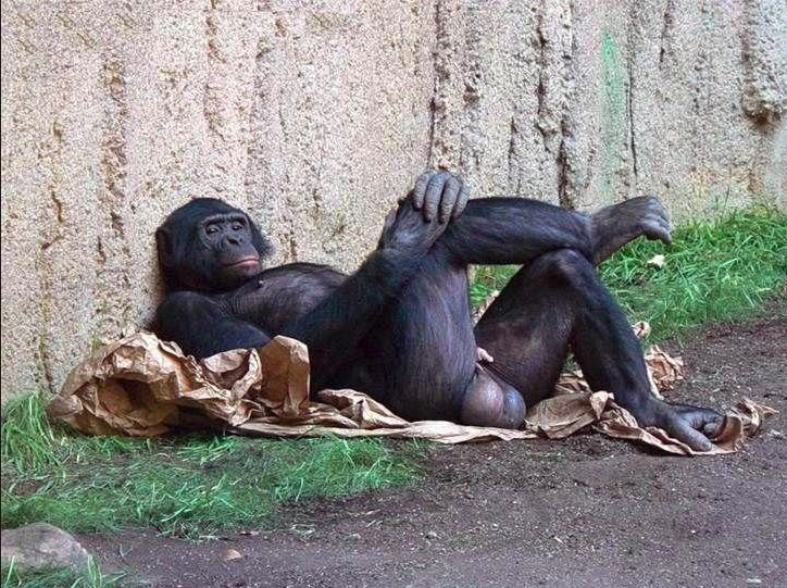 Still Victory tweet media