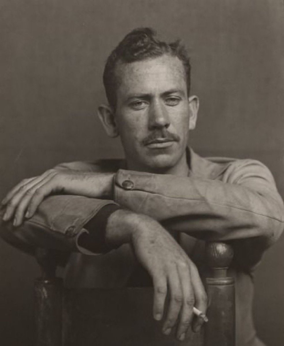 Felsefe Parrhesia tweet media