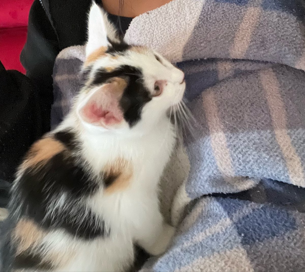 💞🎆🧸 tweet media