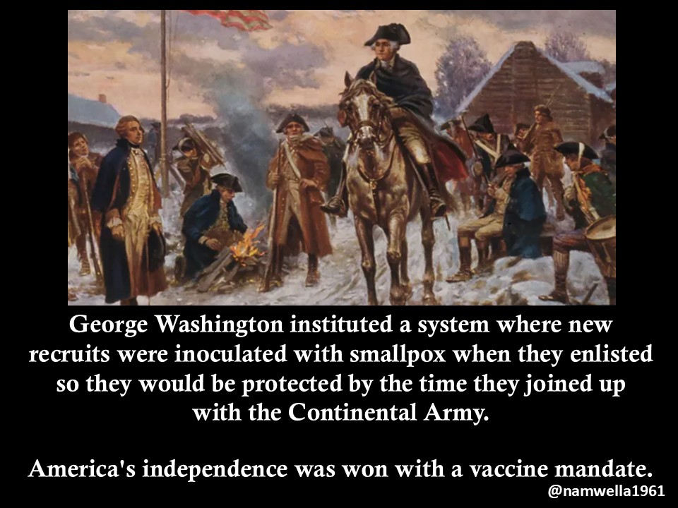 LA Blue Dot in GA 🌊🐸 tweet media