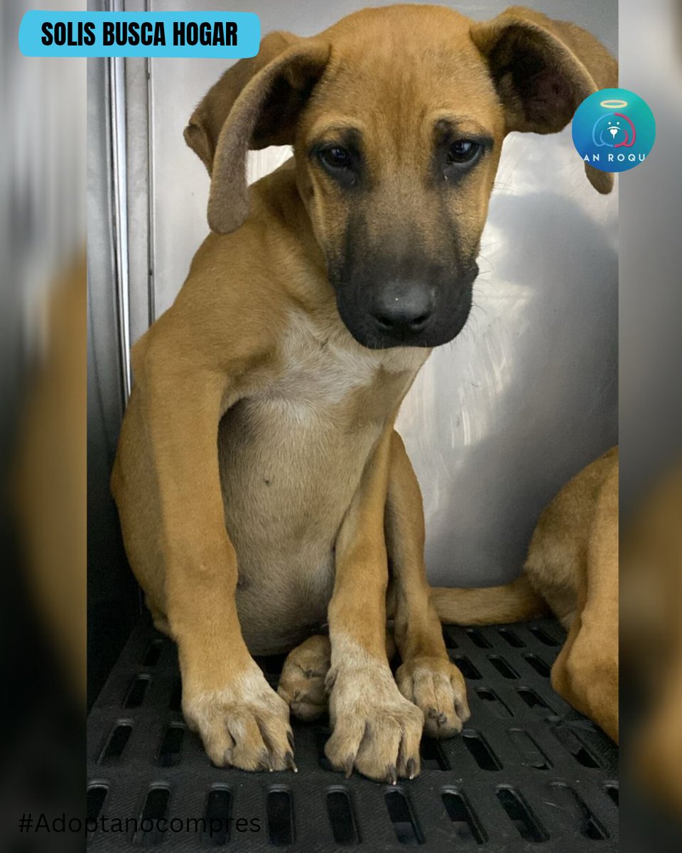 Fundación San Roque tweet media