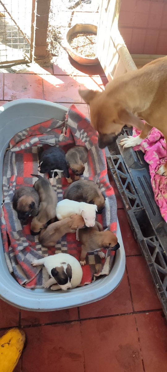 Fundación San Roque tweet media