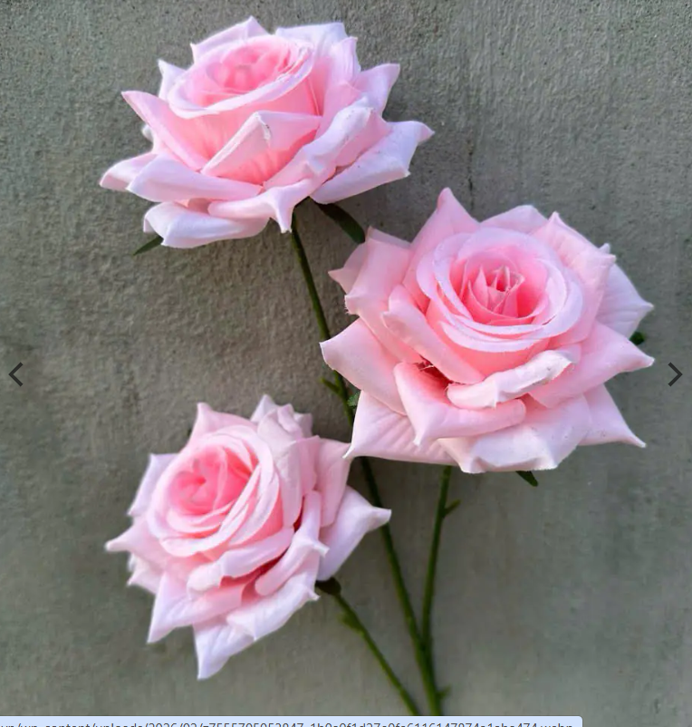 nguyenvanlam101's tweet image. Handmade silk roses from Vietnam 🌹
Many colors available
Wholesale worldwide

Zalo/WhatsApp: +84 866 389 848
Email: lamnv.mitex@gmail.com

#silkflowers #weddingdecor