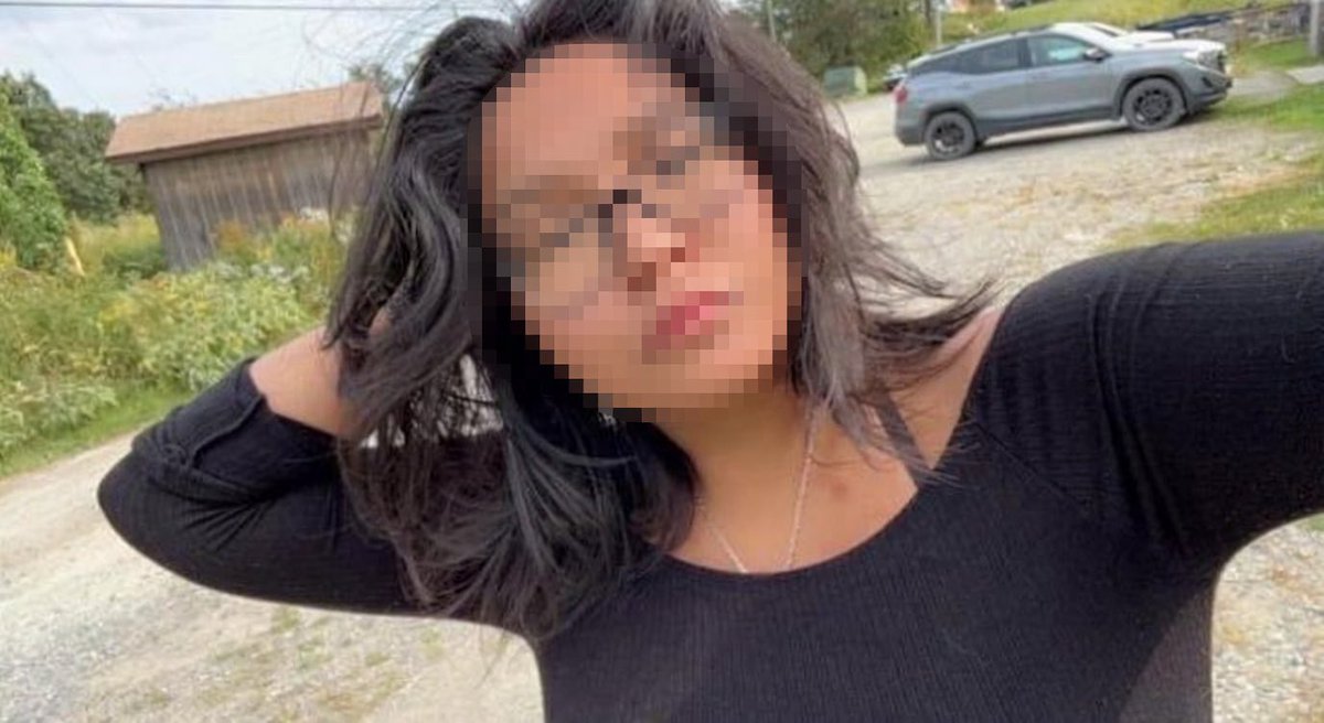 Shinnative PNGtuber tweet media