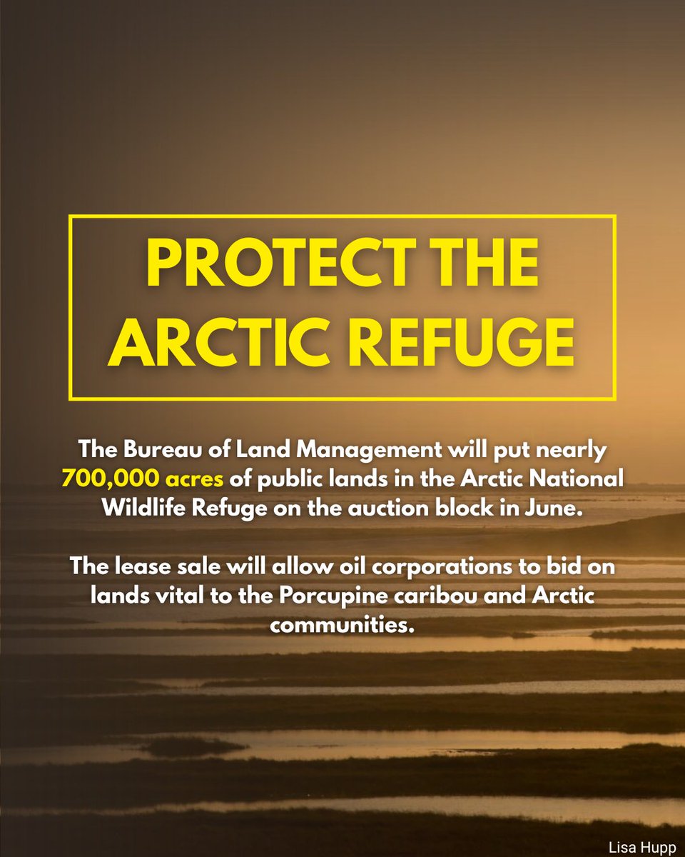 Trustees for Alaska tweet media