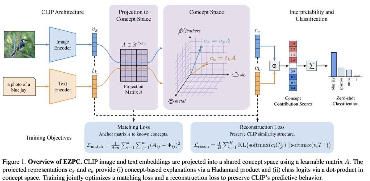 mturraab's tweet image. Paper Alert: Explaining CLIP Zero-shot Predictions Through Concepts (EZPC)

Ever wondered why CLIP makes a specific decision? EZPC offers a new way to interpret zero-shot outputs by breaking them down into human-understandable concepts.

#CLIP #ExplainableAI #XAI #MachineLearning
