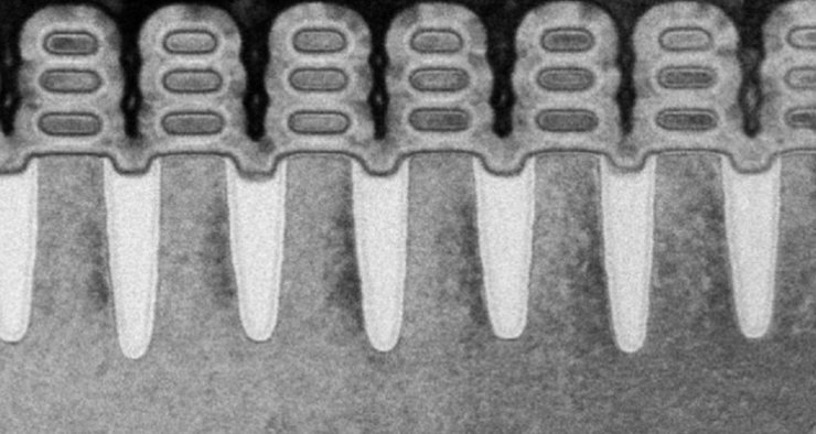 Charles Rosenbauer tweet media