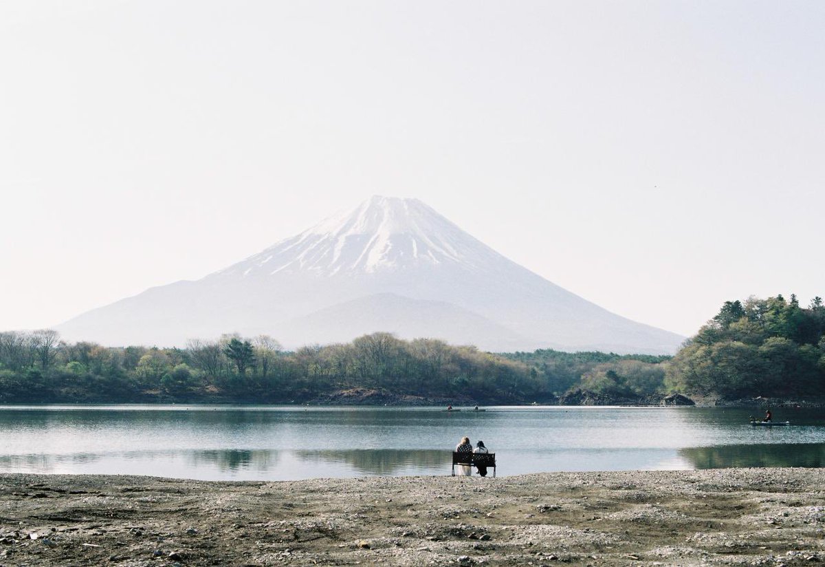 s🗡🎞️ tweet media