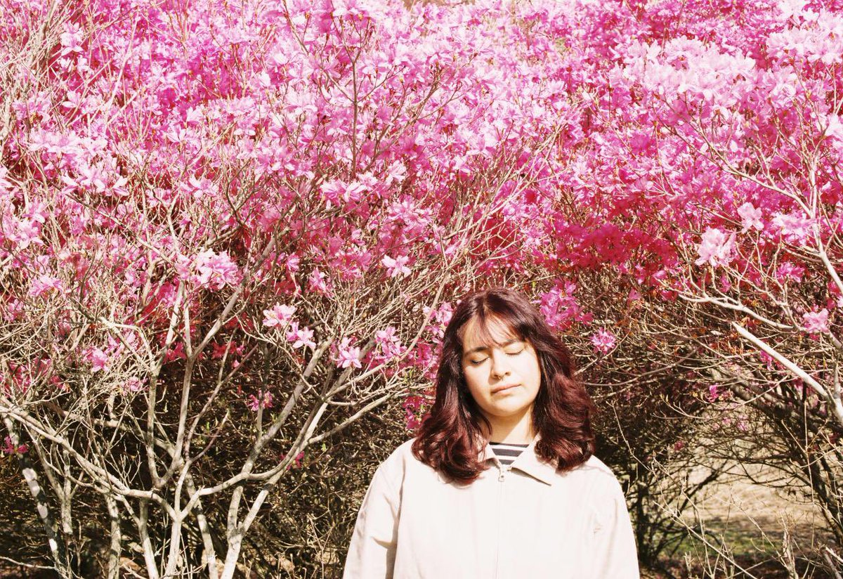 s🗡🎞️ tweet media