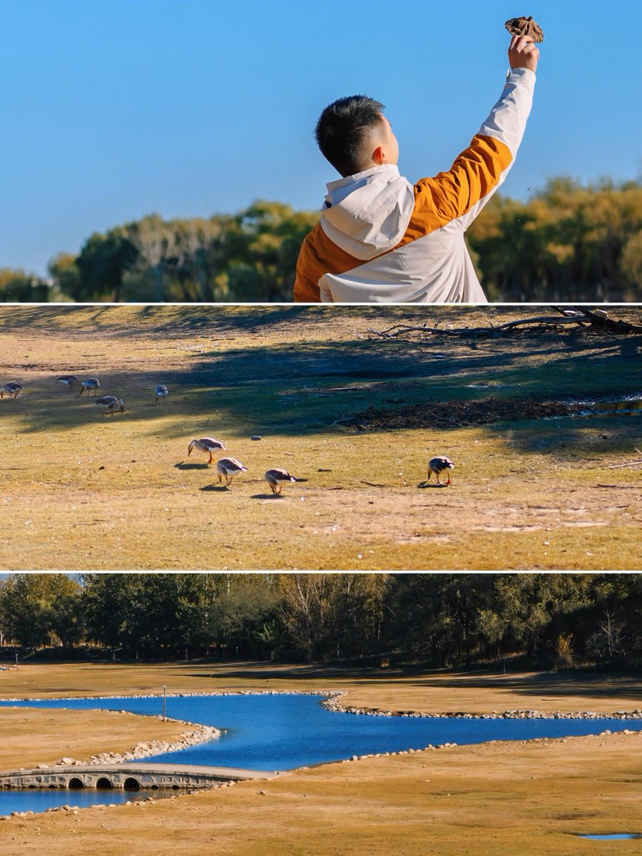 wa7d-kash5h tweet media