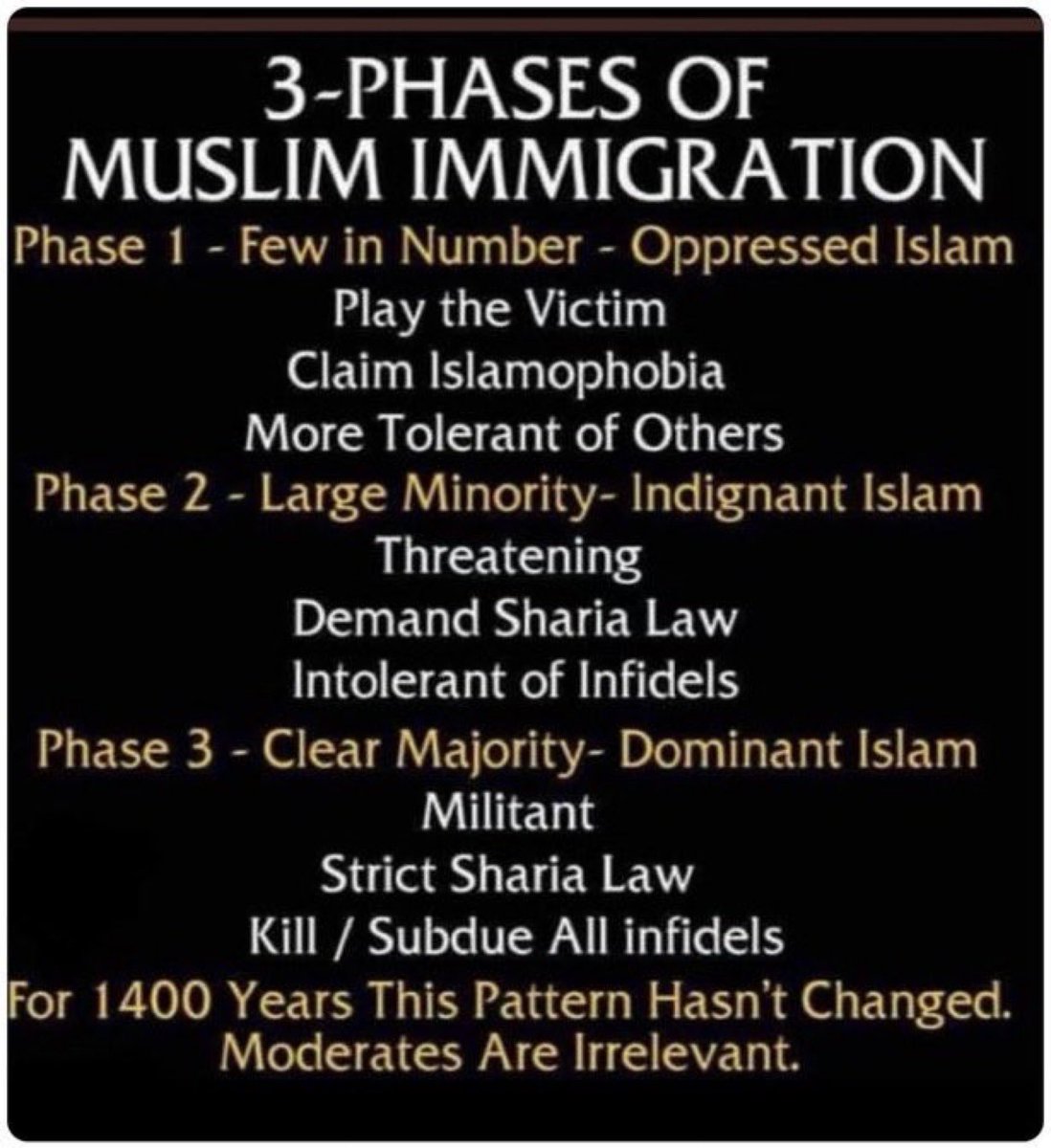 Martin B. Silvernail 🇺🇸🇺🇸🏴‍☠️🍊 tweet media