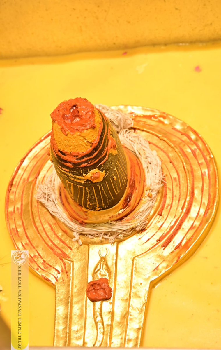 ShriVishwanath's tweet image. श्री काशी विश्वनाथ जी की सप्तऋषि आरती I
#kashivishwanath #kashi #hindu #sanatandharm