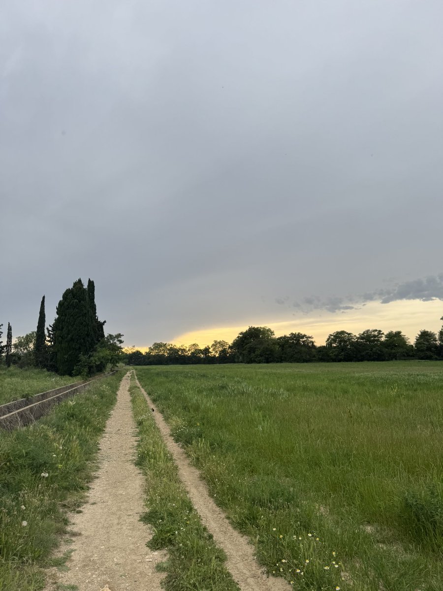 SO🇲🇦 tweet media