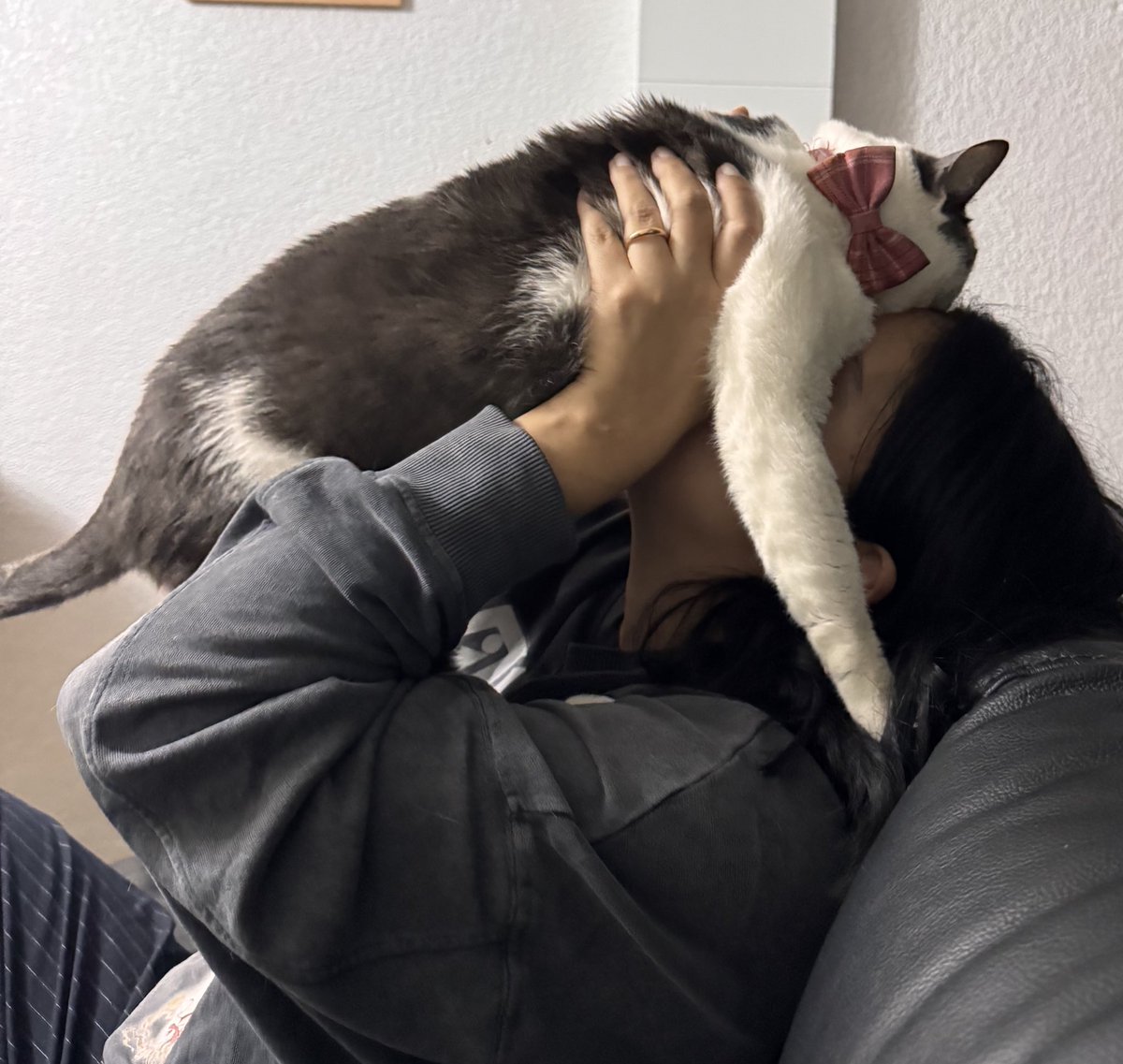 Fernanda Martinez tweet media