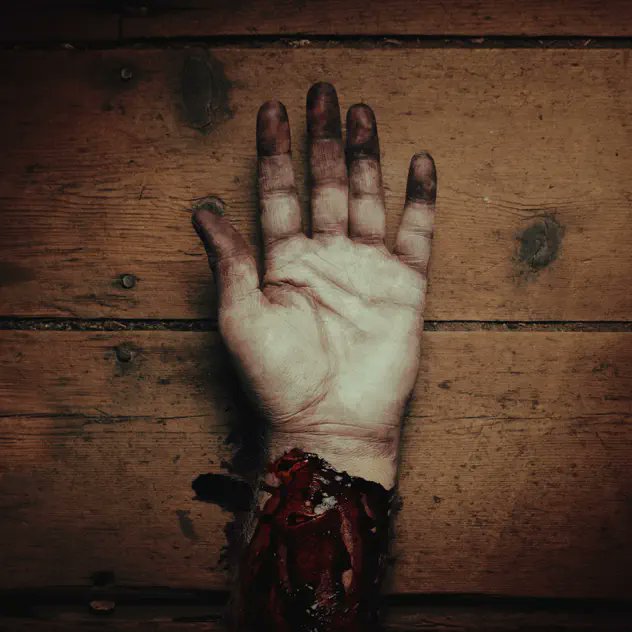 INSANEBLOG1's tweet image. BLOOD VULTURE Reimagine CONVERGE Classic ‘You Fail Me’ With Gothic Doom Weight
insaneblog.net/2026/04/blood-… #sludge #metal #doommetal